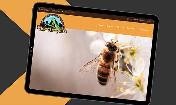 NYX Marketing & Communication Awards (Marcom) Winner - Website for Bug Museum & Learning Center