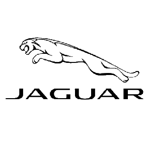 NYX Marcom Brand Partners - Jaguar