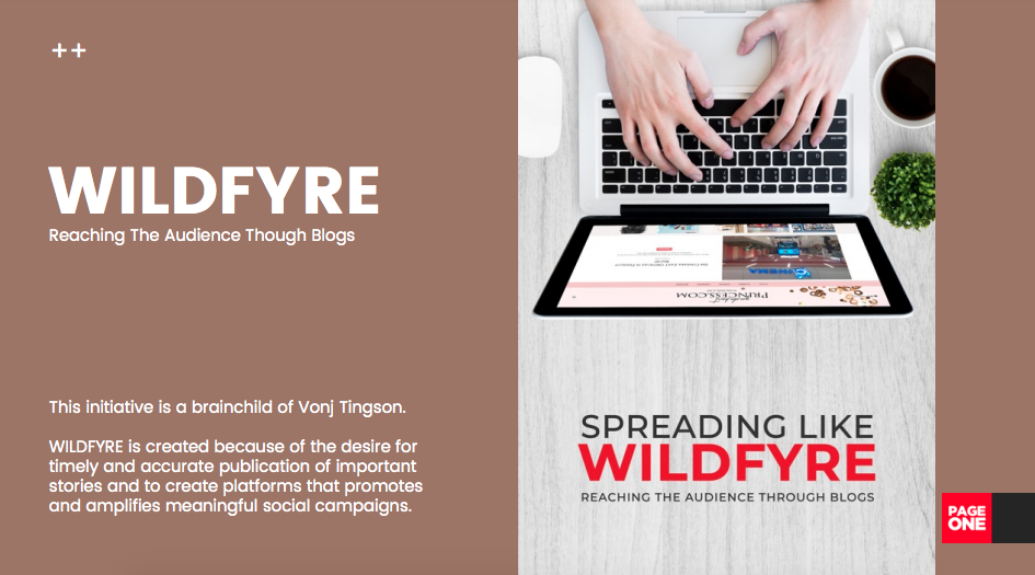 WILDFYRE: Reaching The Audience Through Blogs - NYX Awards Winner 