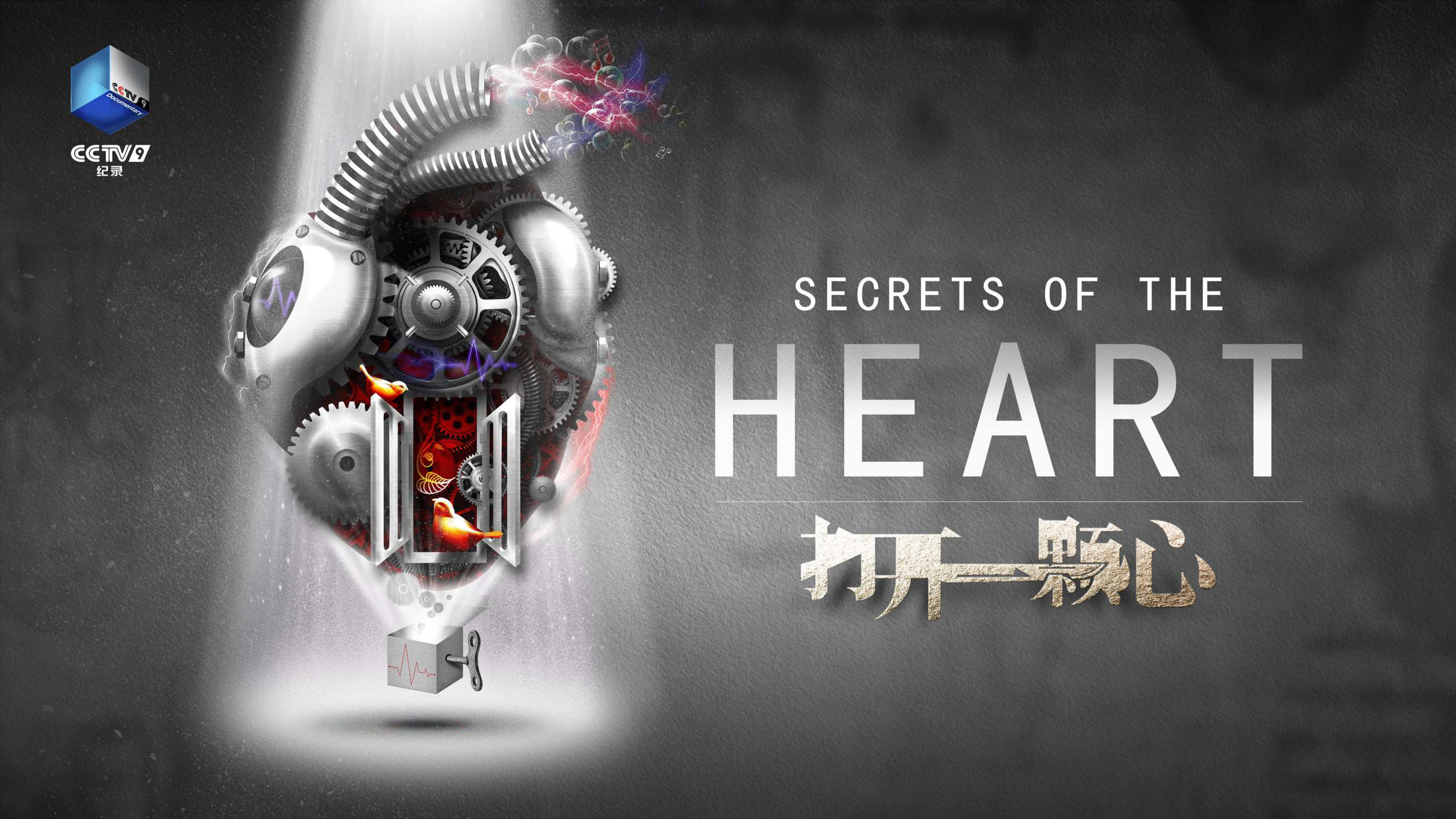Secrets of the Heart - NYX Awards Winner 