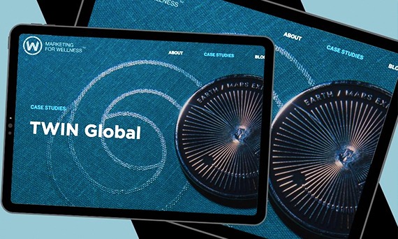 NYX Awards 2020 Winner - TWIN GLOBAL Website Design and Development