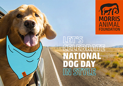 NYX Awards 2021 Winner - Morris Animal Foundation’s National Dog Day Email Campaign