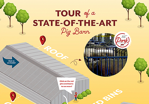 NYX Awards 2024 Winner - NE Pork: Interactive Modern Pig Barn