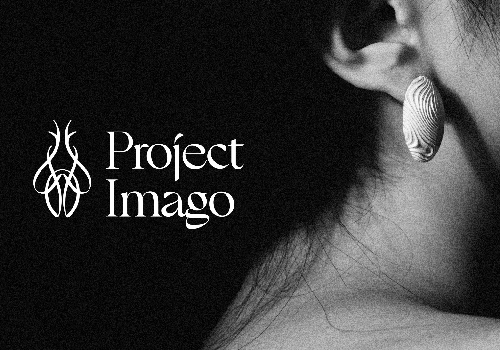 NYX Awards 2024 silver Winner  - Project Imago