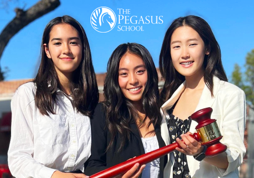 NYX Awards 2024 Winner - The Pegasus School