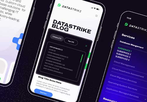 NYX Awards 2024 Winner - DataStrike Website