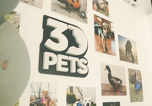 NYX Awards 2025 Winner - Passion Project: Must Love Dogs (and 3D Printing), AMT – The Association For Manufacturing Technology