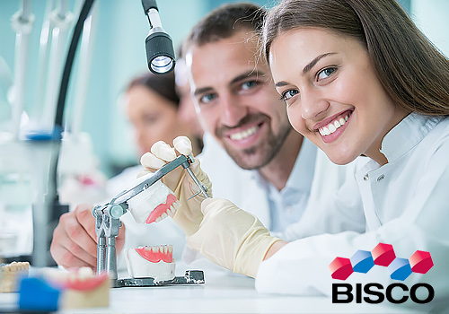 NYX Awards 2025 Winner - Bisco, Codal