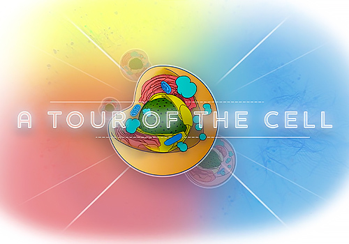 NYX Awards 2026 gold Winner  - A Tour of the Cell: The Future of Biology Education in XR by Tipping Point Media