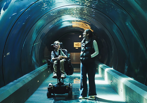 NYX Awards 2026 gold Winner  - Oregon, Accessibility Happens Here by Blue Chalk Media