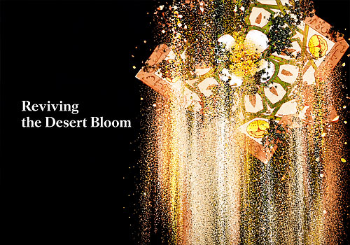 NYX Awards 2026 Winner - Reviving the Desert Bloom, Central China Normal University