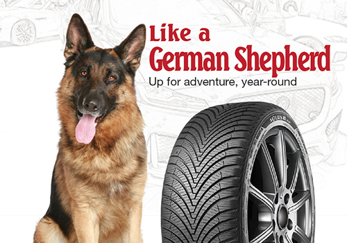NYX Awards 2025 Winner -  Tires with a Heart: Kumho Tire × Ontario SPCA
