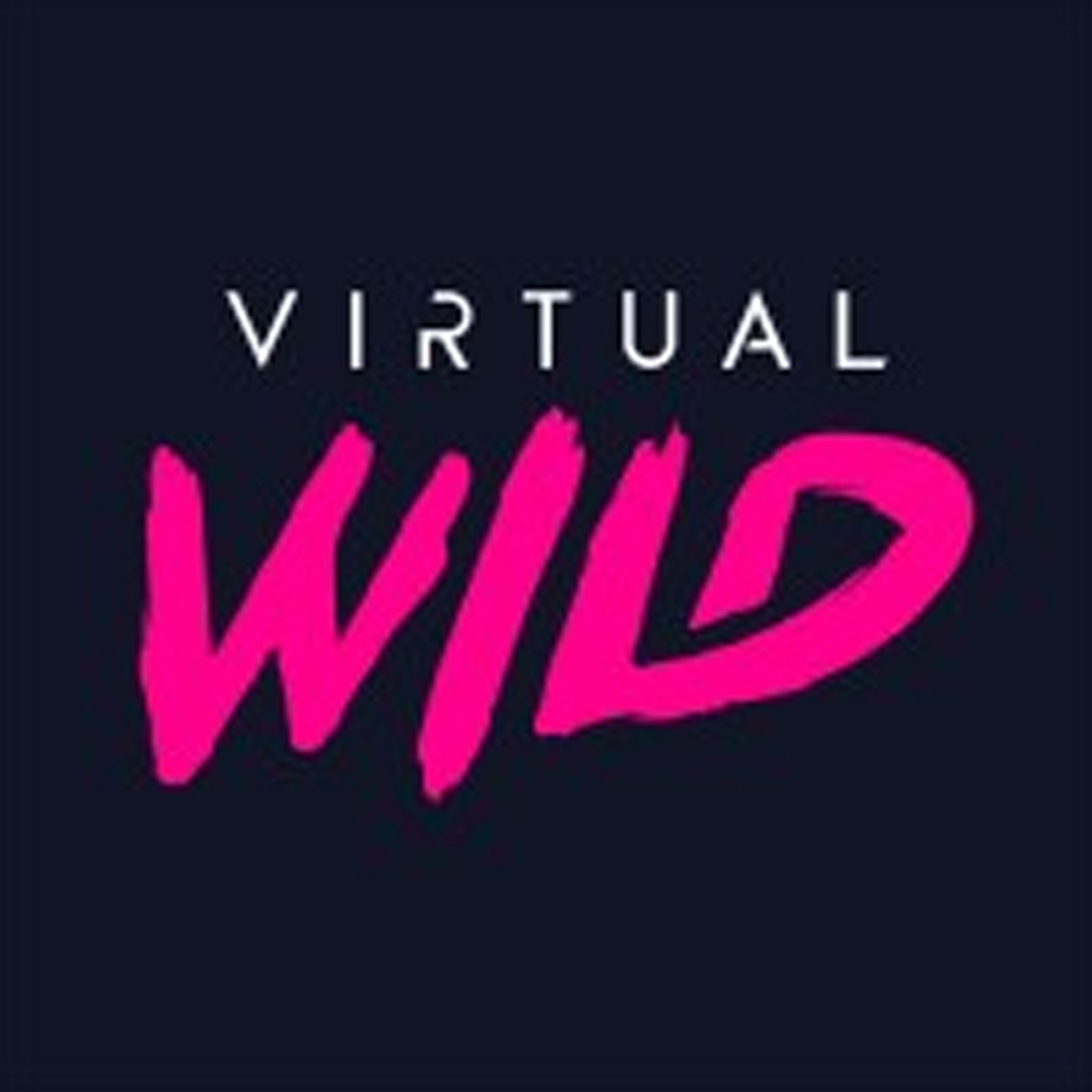 NYX Marcom Awards, NYX Video Awards Top Agencies - The Virtual Wild