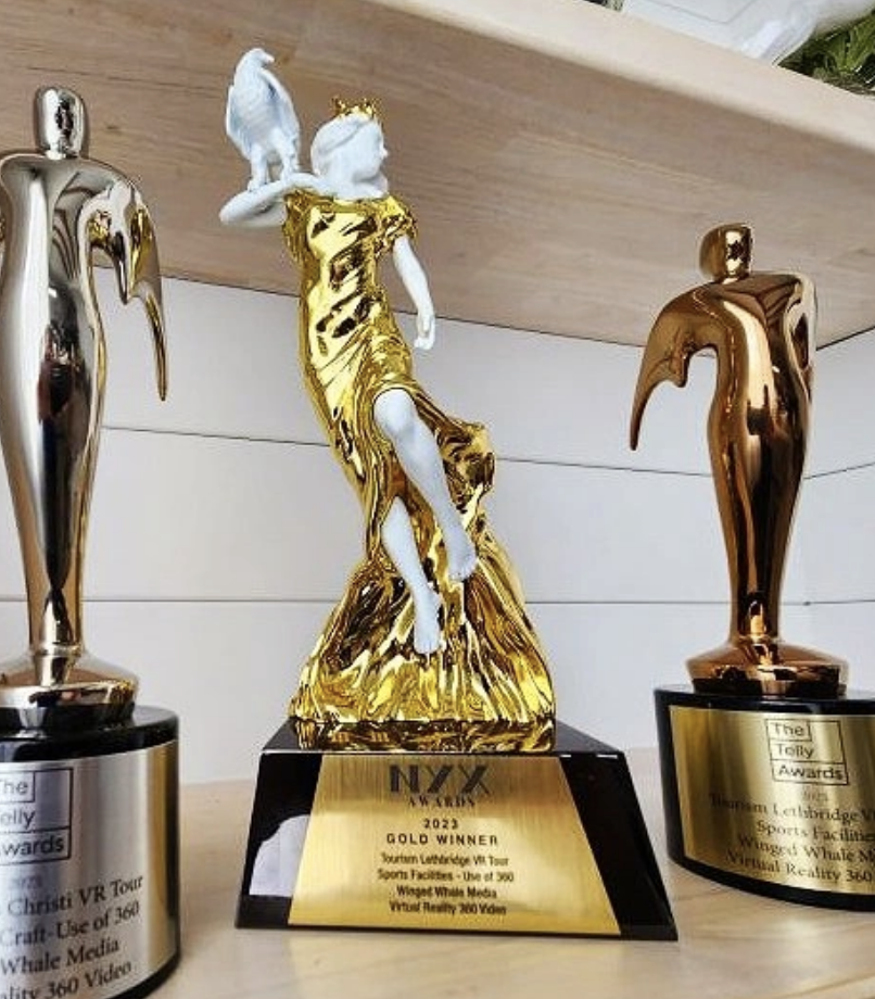 NYX Awards Winner - NYX Statuette on @edlimon LinkedIn!