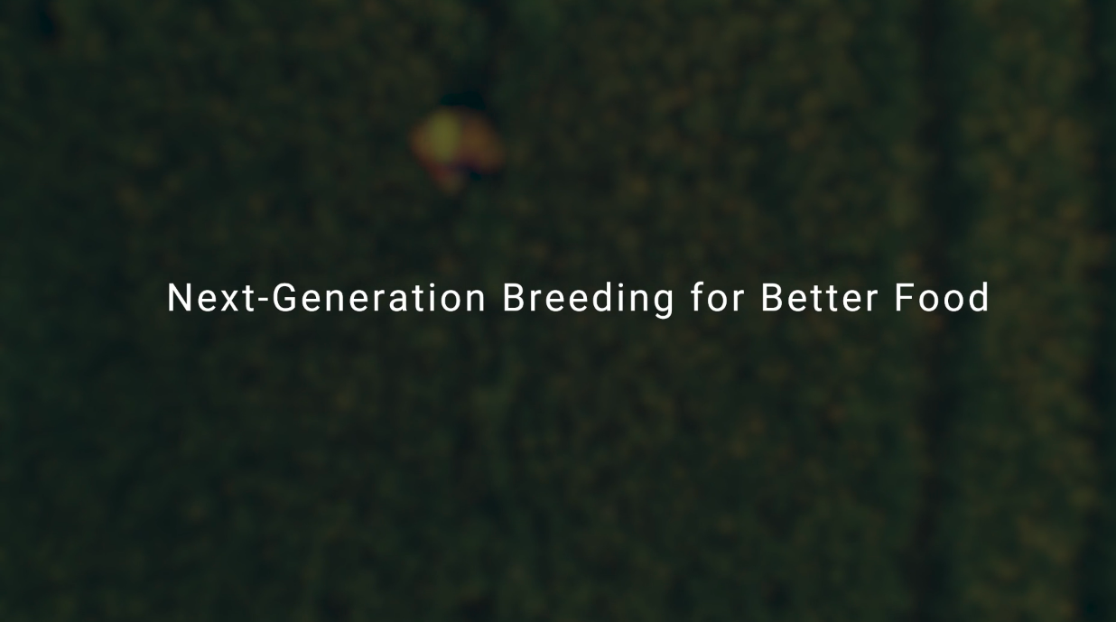 On-Demand Breeding